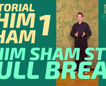 tutorial shim sham 2